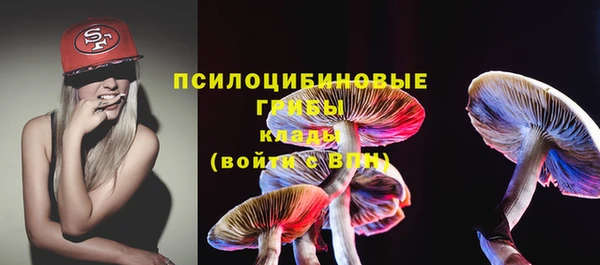 прущие грибы Арсеньев