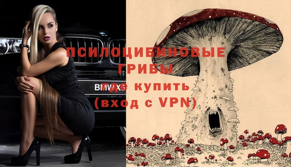 прущие грибы Арсеньев