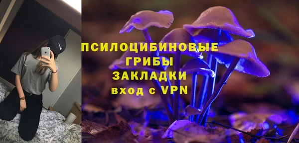 прущие крисы Медвежьегорск